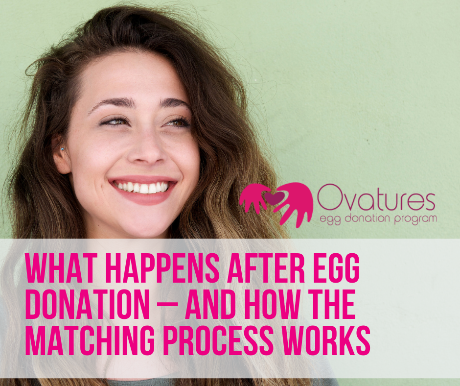 What happens after egg donation & how the matching process works